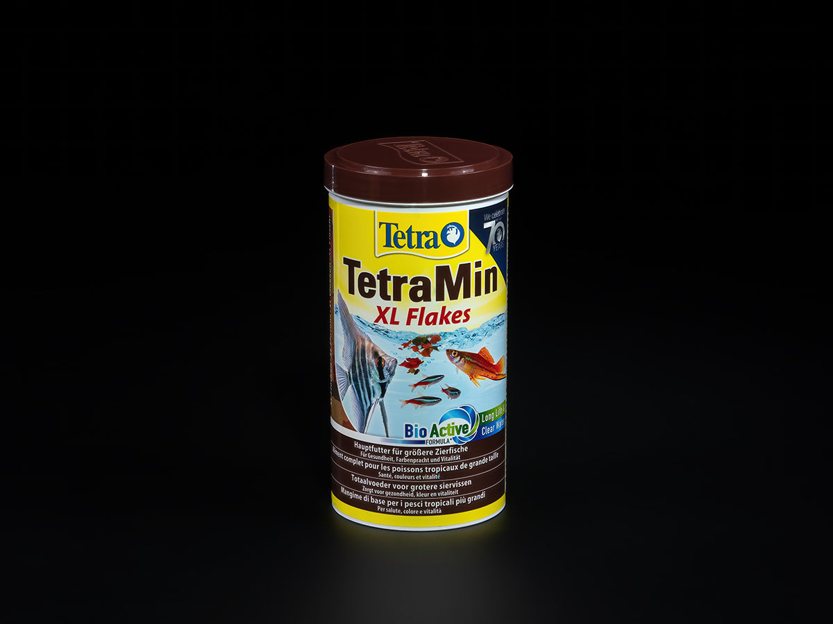 TetraMin XL Flakes