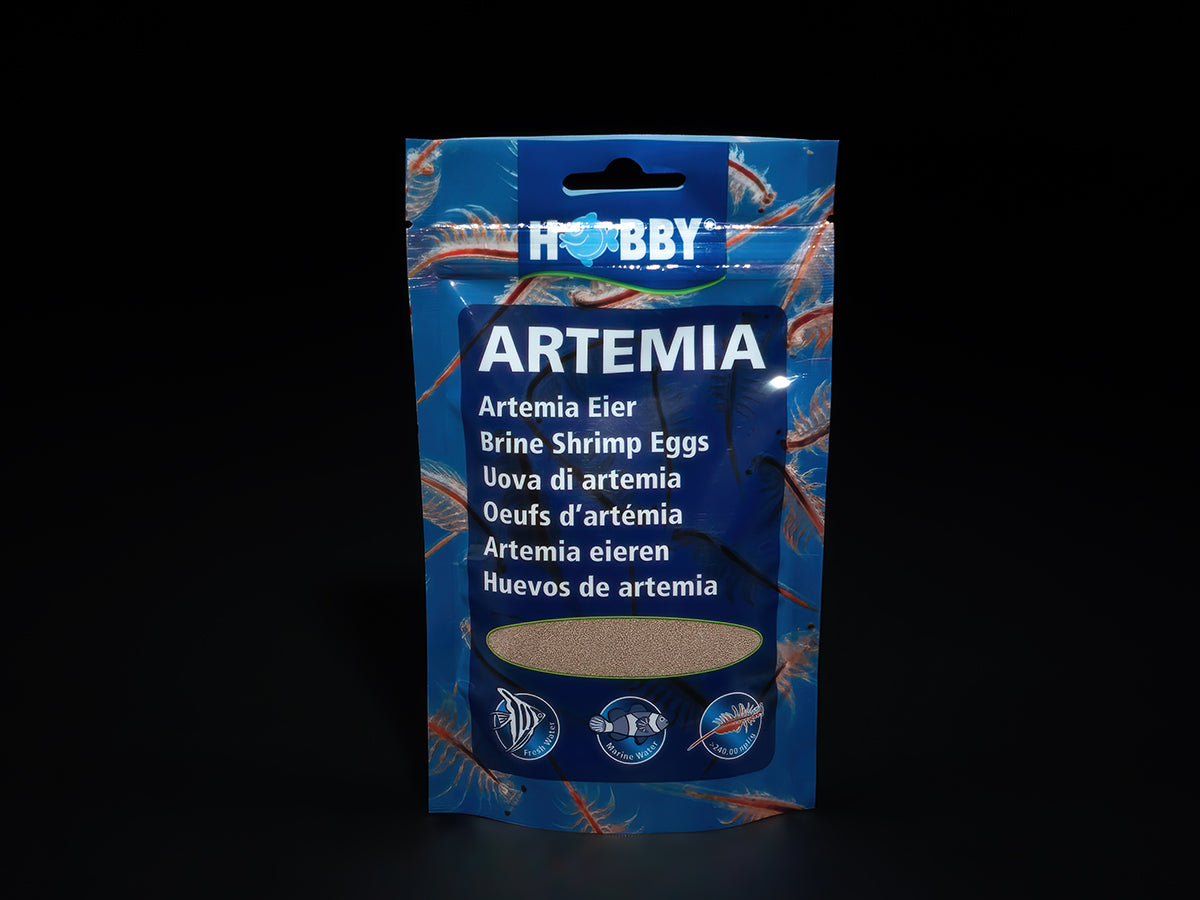 HOBBY Artemia Eier