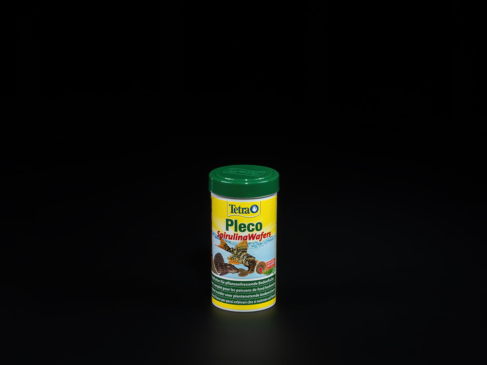 Pleco SpirulinaWafers