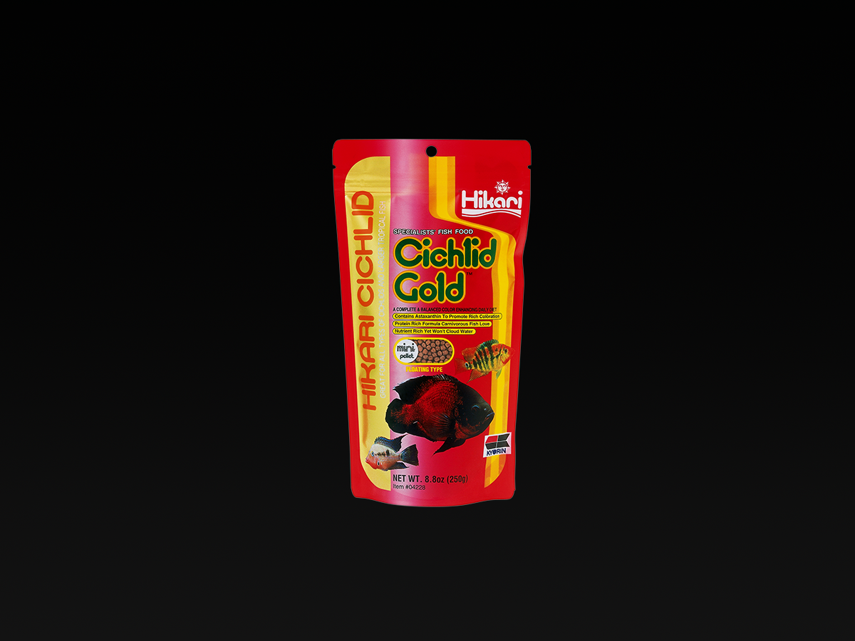 Hikari Cichlid Gold Mini