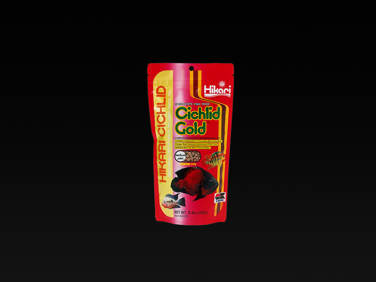 Hikari Cichlid Gold - Medium