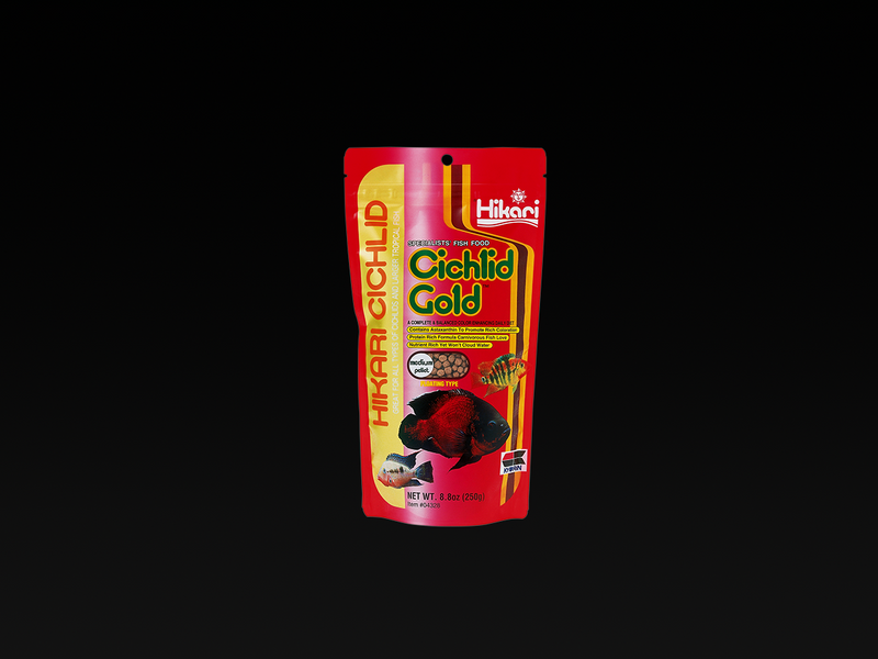 Hikari Cichlid Gold - Medium