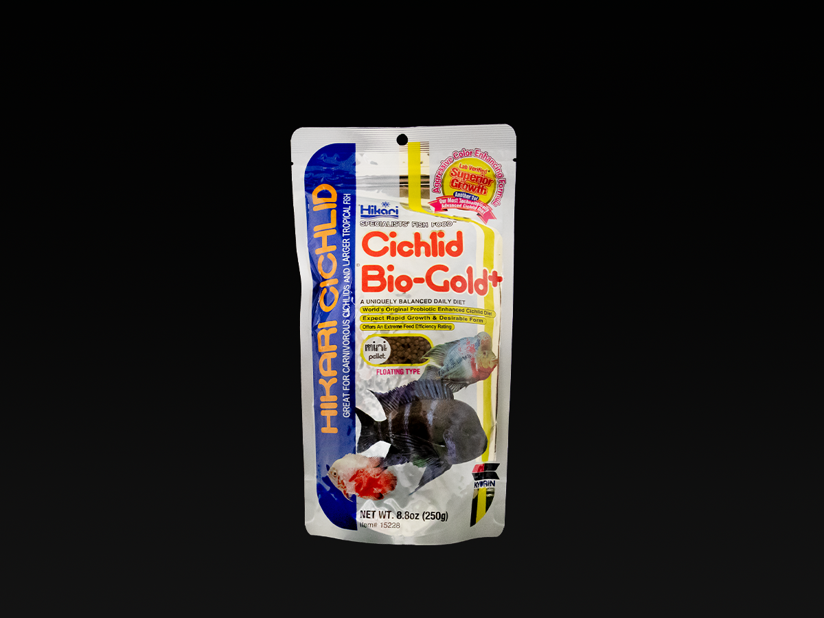 Hikari Cichlid Bio Gold Plus Mini