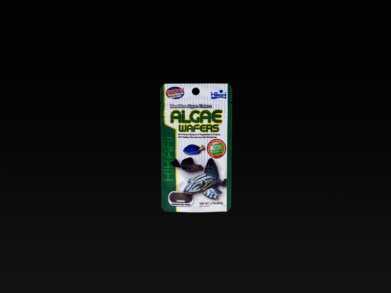 Hikari Algae Wafers