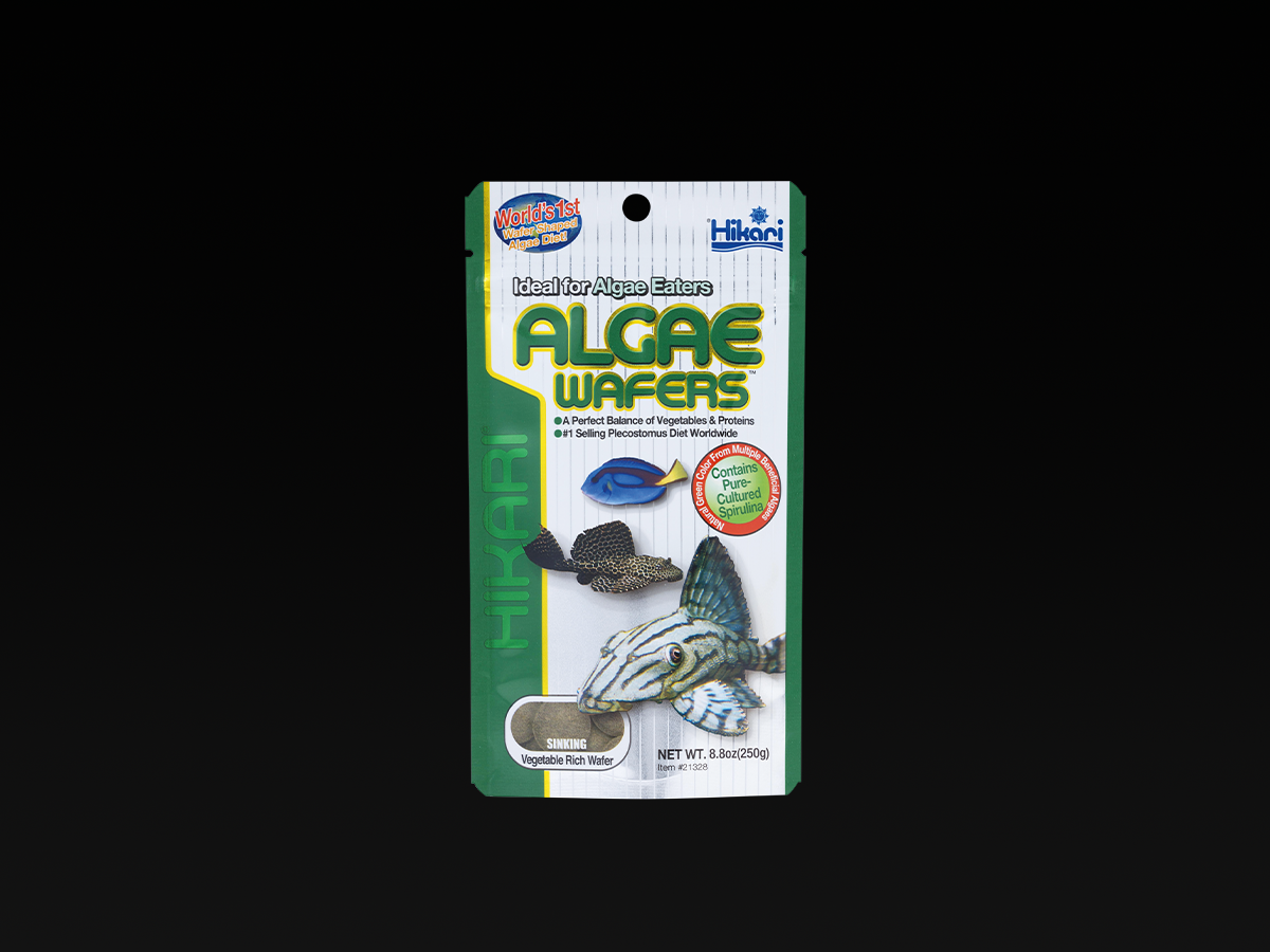 Hikari Algae Wafers