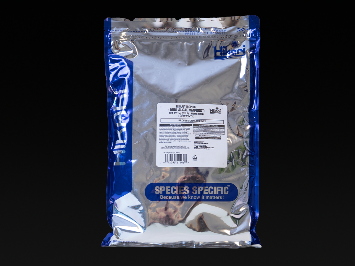 Hikari mini Algae Wafers