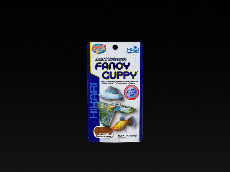Hikari Fancy Guppy