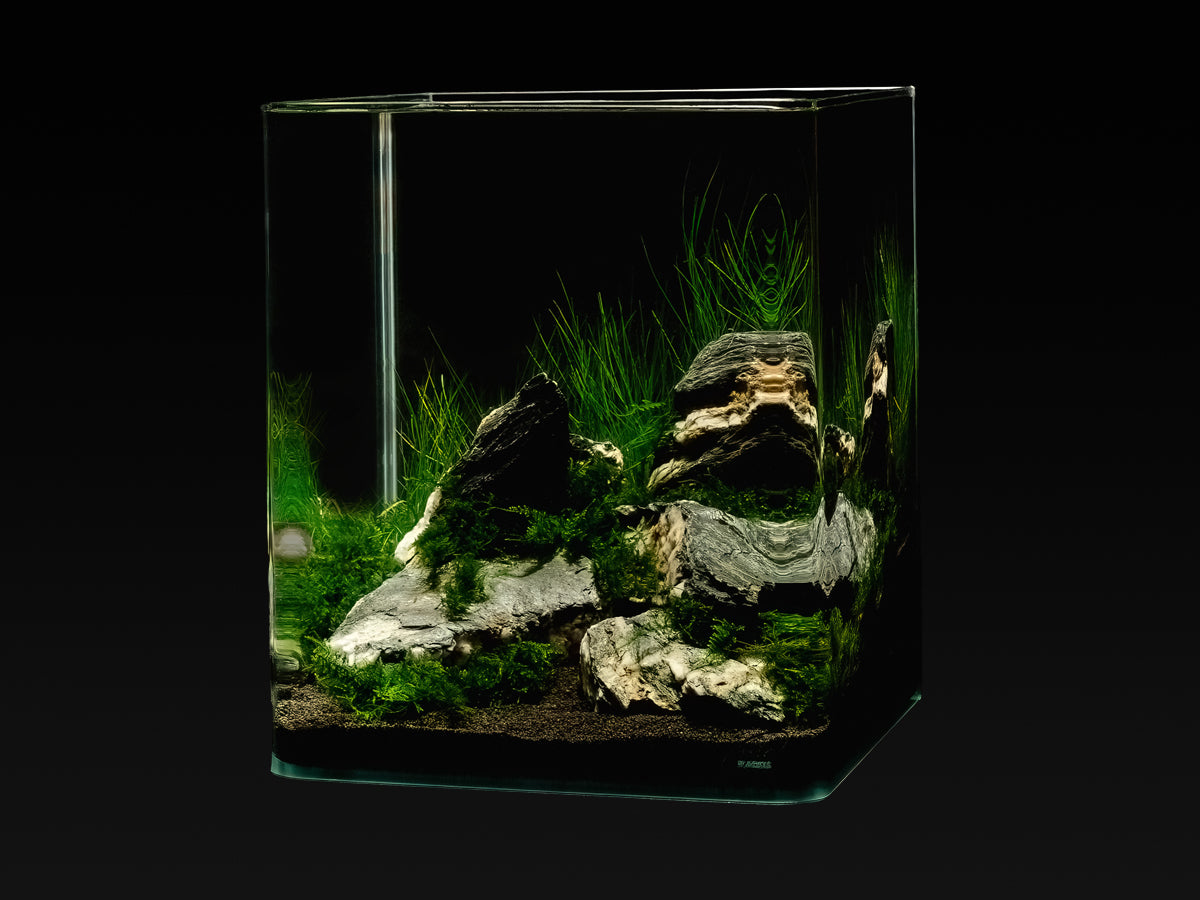 me Aquaristic My Tank Start