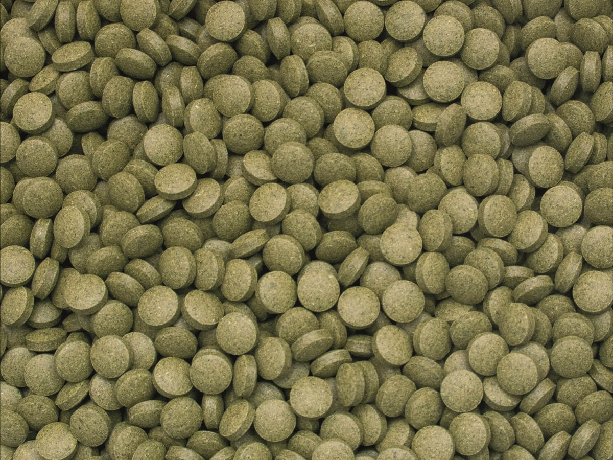 3-Algae Tablets B