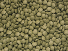 3-Algae Tablets B