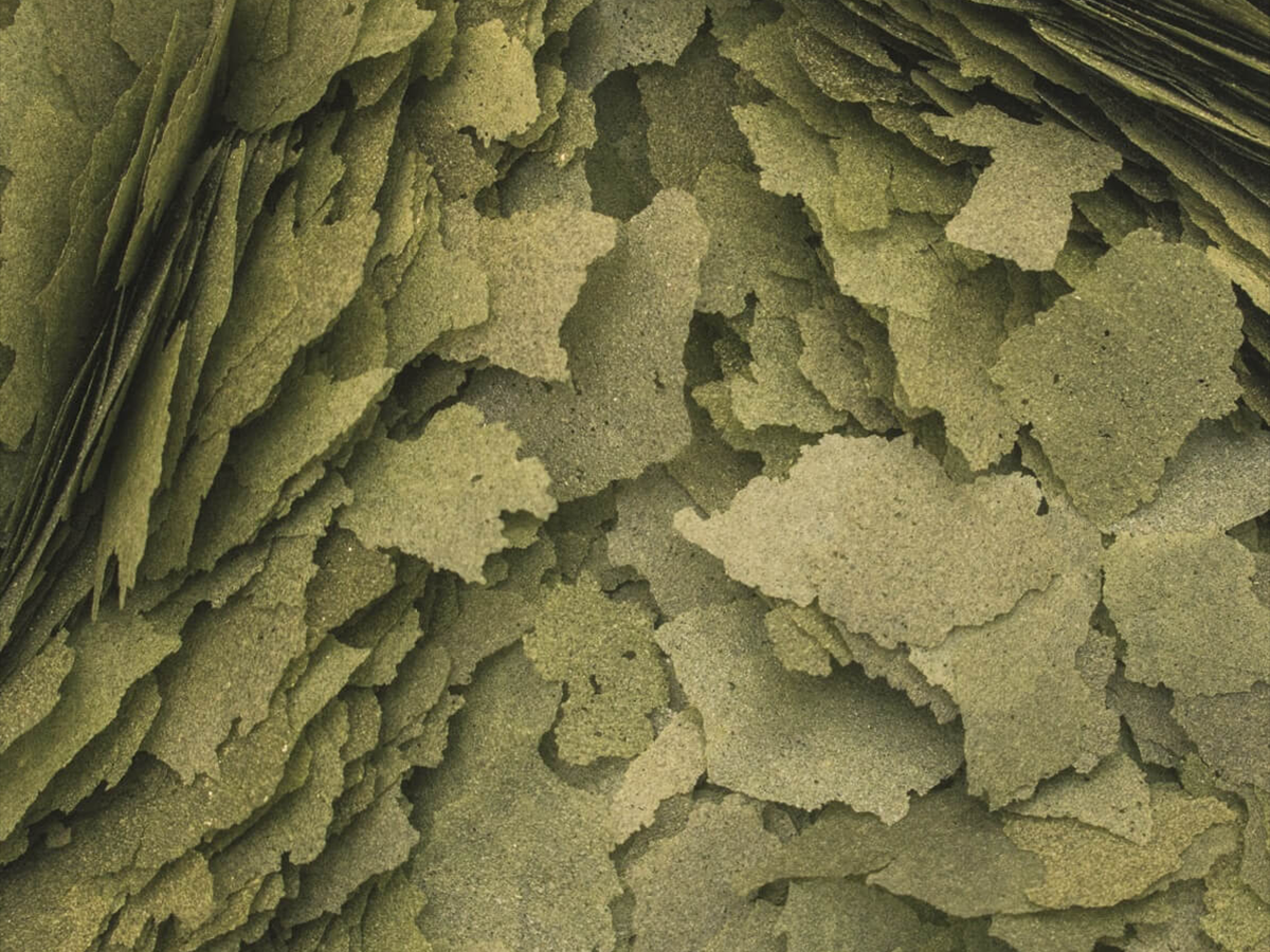 3-Algae Flakes