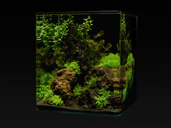 Me My Tank Cube