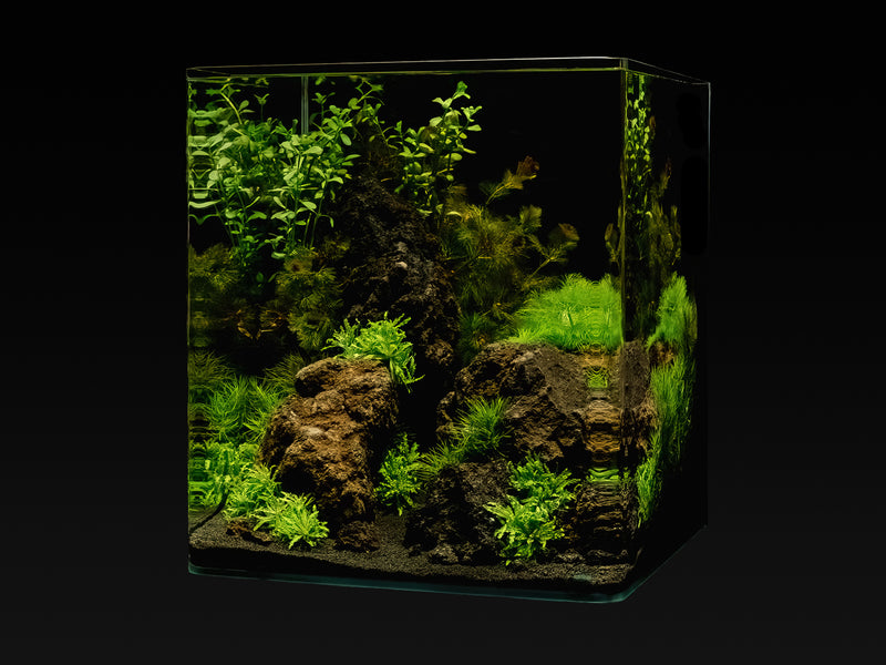 Me My Tank Cube