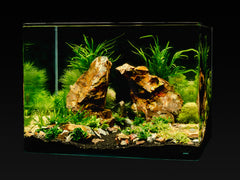 Me My Tank Scape