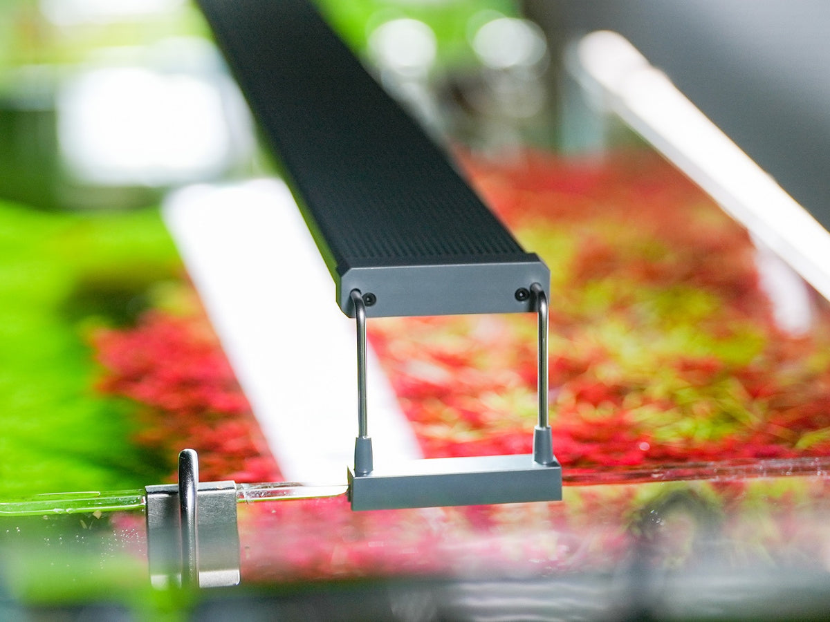 Chihiros LED B-Serie-3