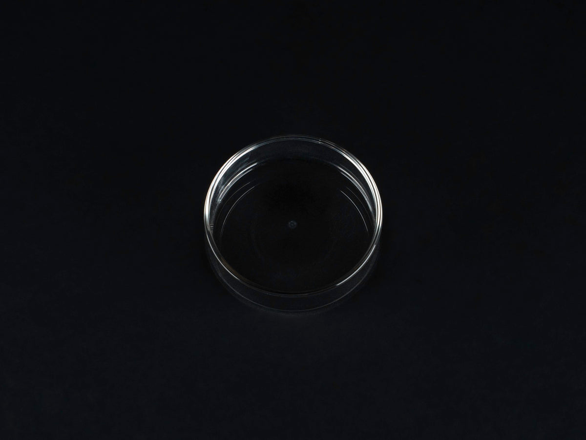 Futterschale Glas