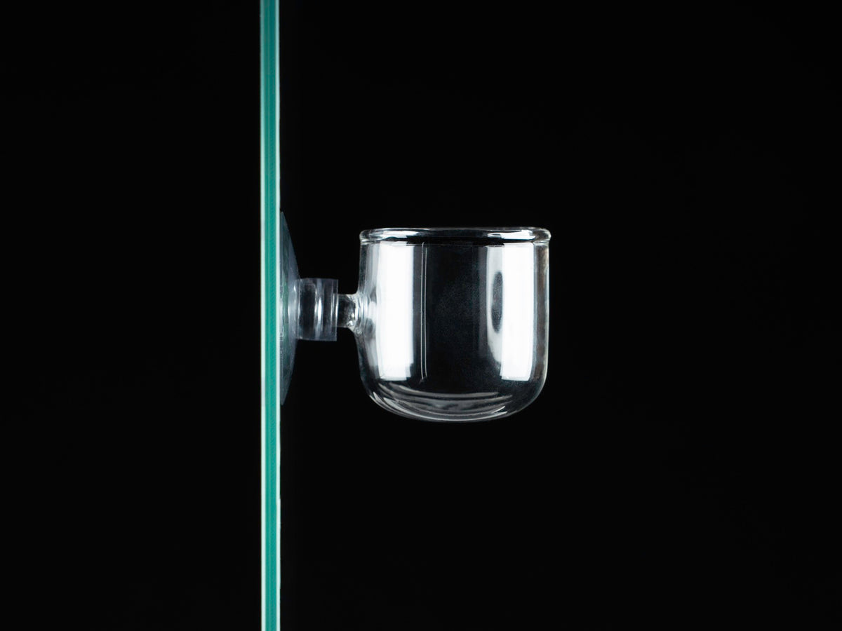 Plant Pot Glas