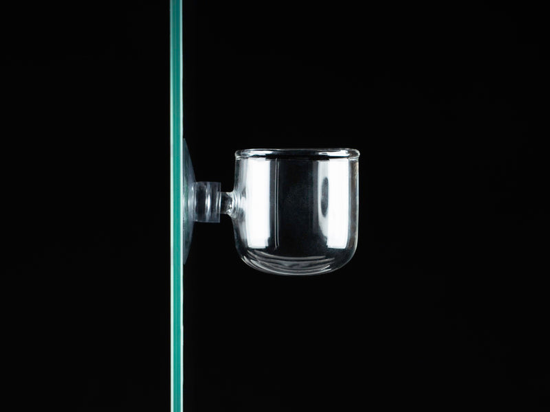 Plant Pot Glas