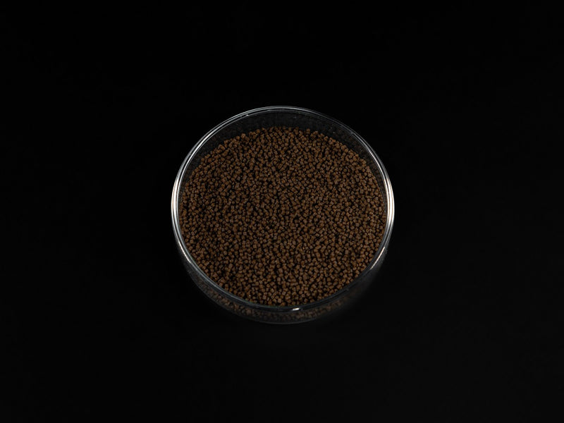 Biofish food GSE/MORINGA