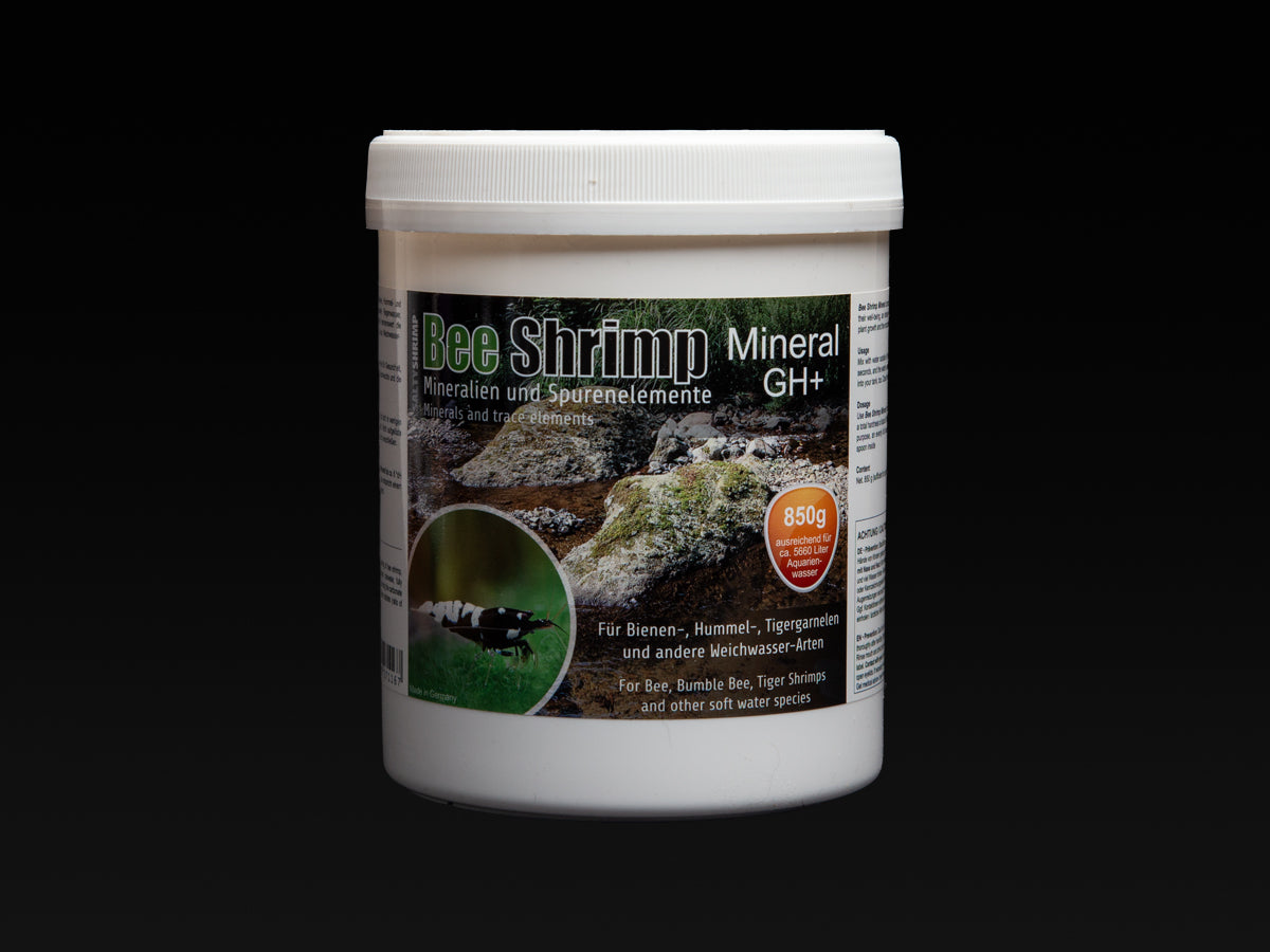 Bee Shrimp Mineral GH+