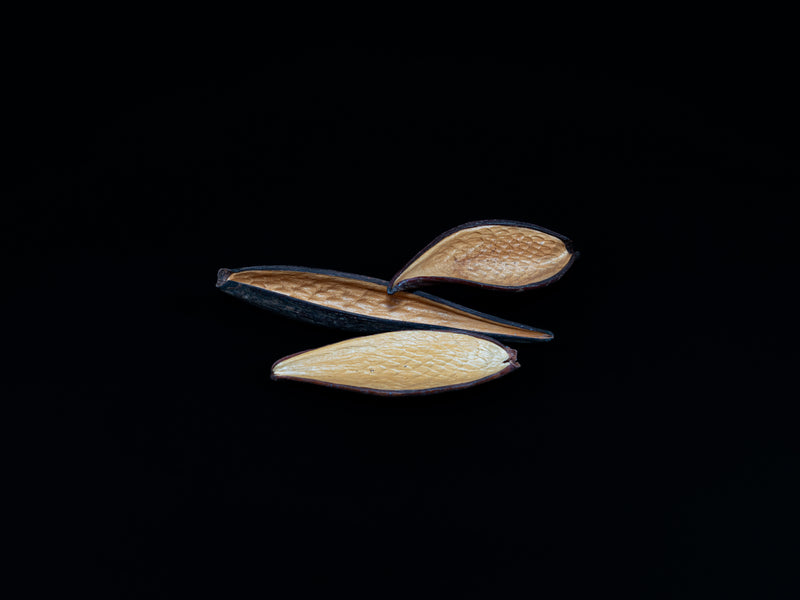Garnelen Schiffchen