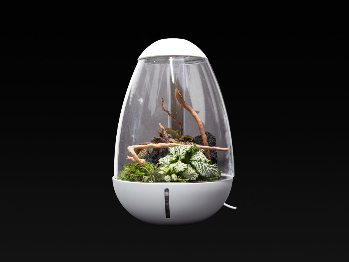 Chihiros Tiny Terrarium Egg