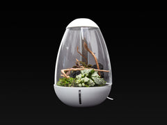 Chihiros Tiny Terrarium Egg