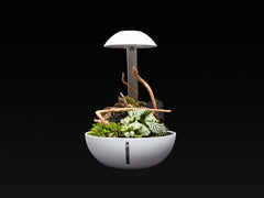 Chihiros Tiny Terrarium Egg