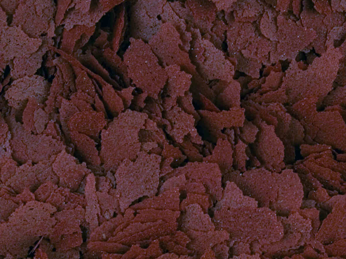 D-Allio Plus Flakes