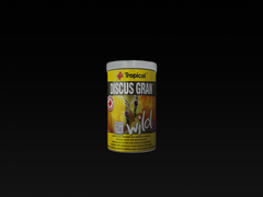 Discus Gran WILD