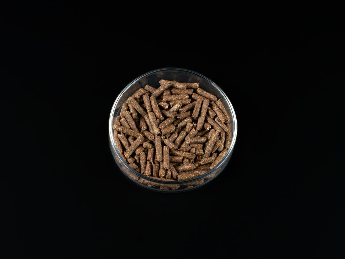 Biofish food Acai SHRIMP STICKS