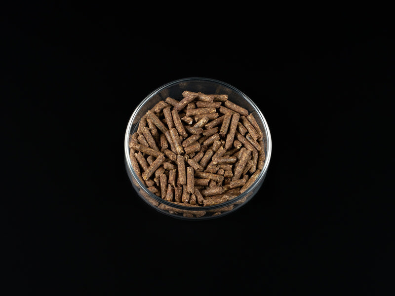 Biofish food Acai SHRIMP STICKS