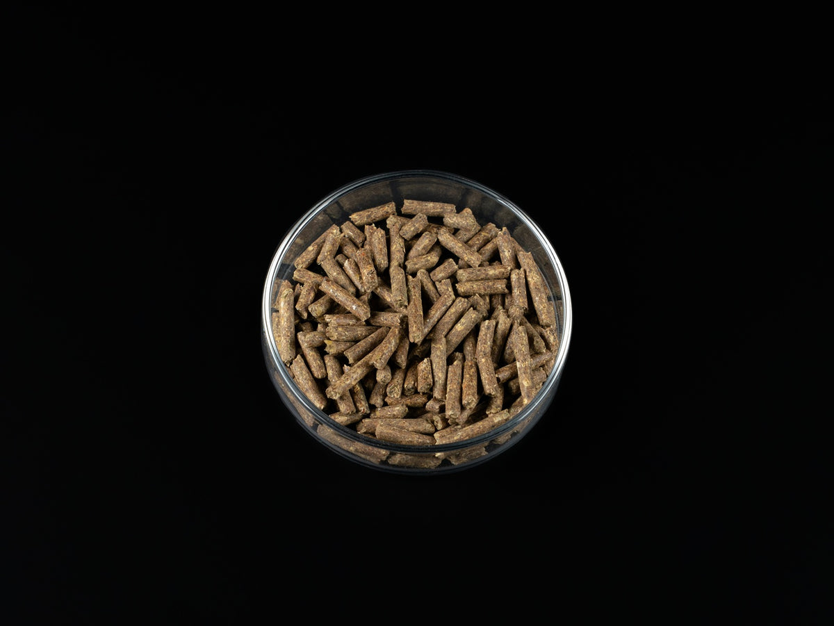 Biofish food Chlorella SHRIMP STICKS