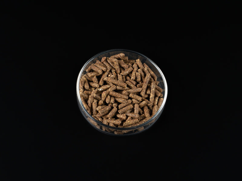Biofish food Garlic SHRIMP STICKS