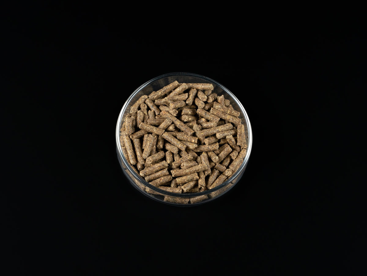 Biofish food Regular SHRIMP STICKS
