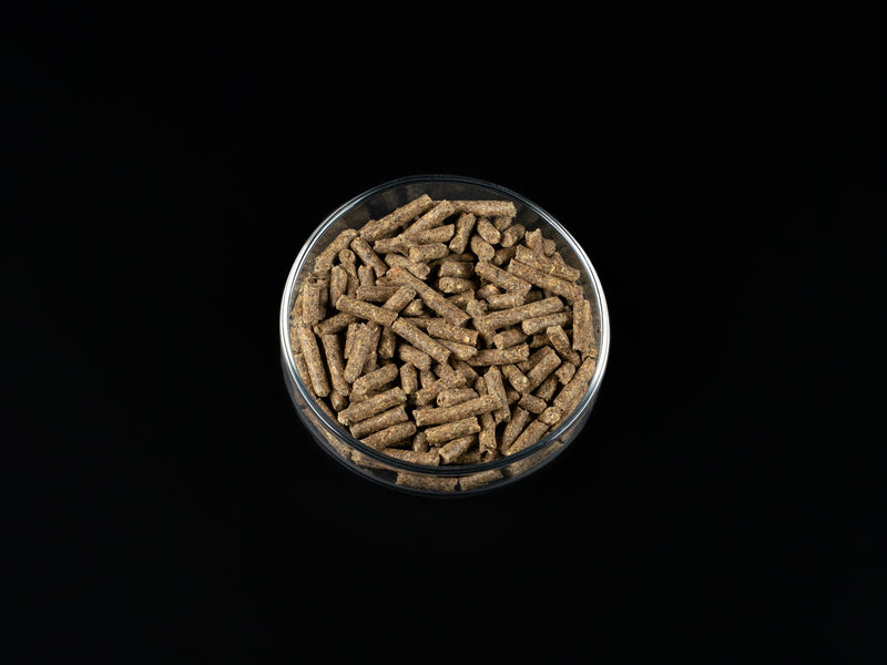Biofish food Regular SHRIMP STICKS