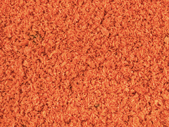 Calanus - 100% marines Zooplankton