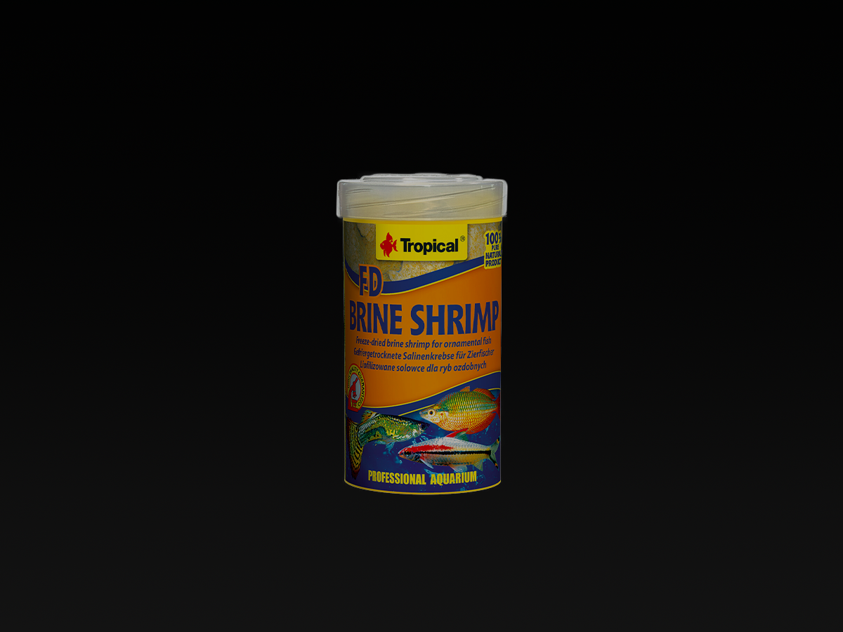 FD Brine Shrimp