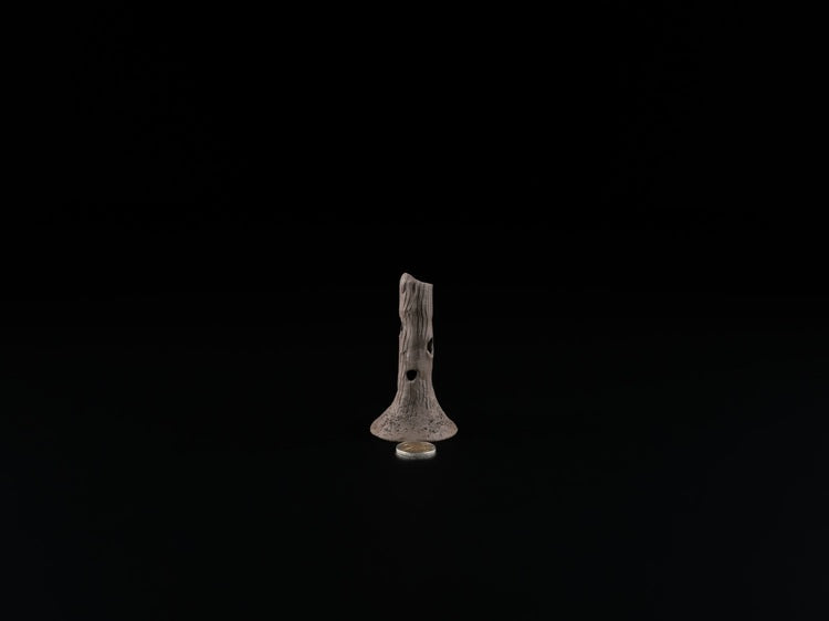 Garnelenstamm