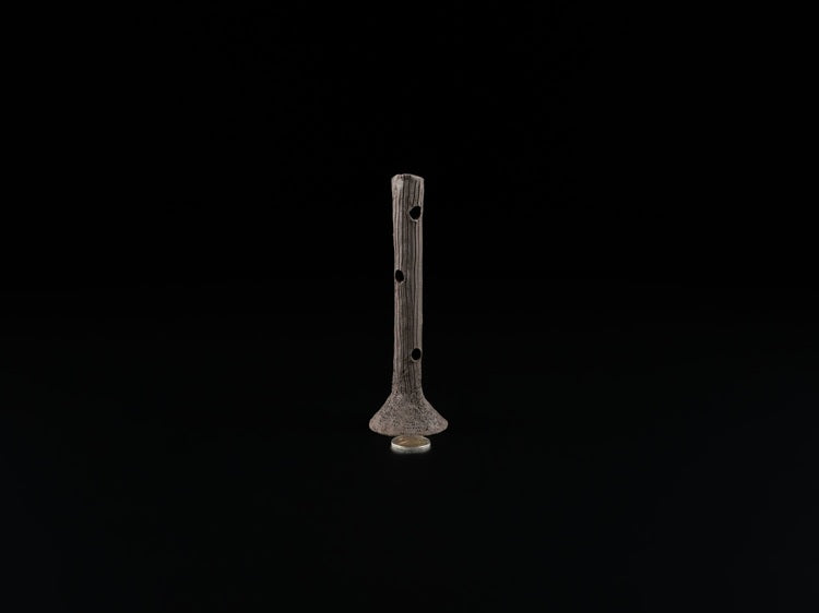 Garnelenstamm