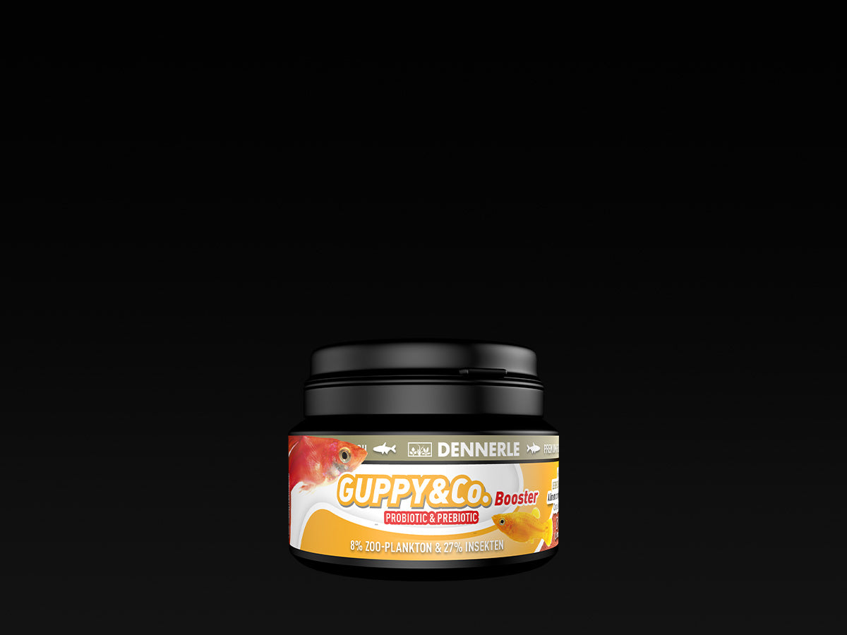 Guppy & Co Booster