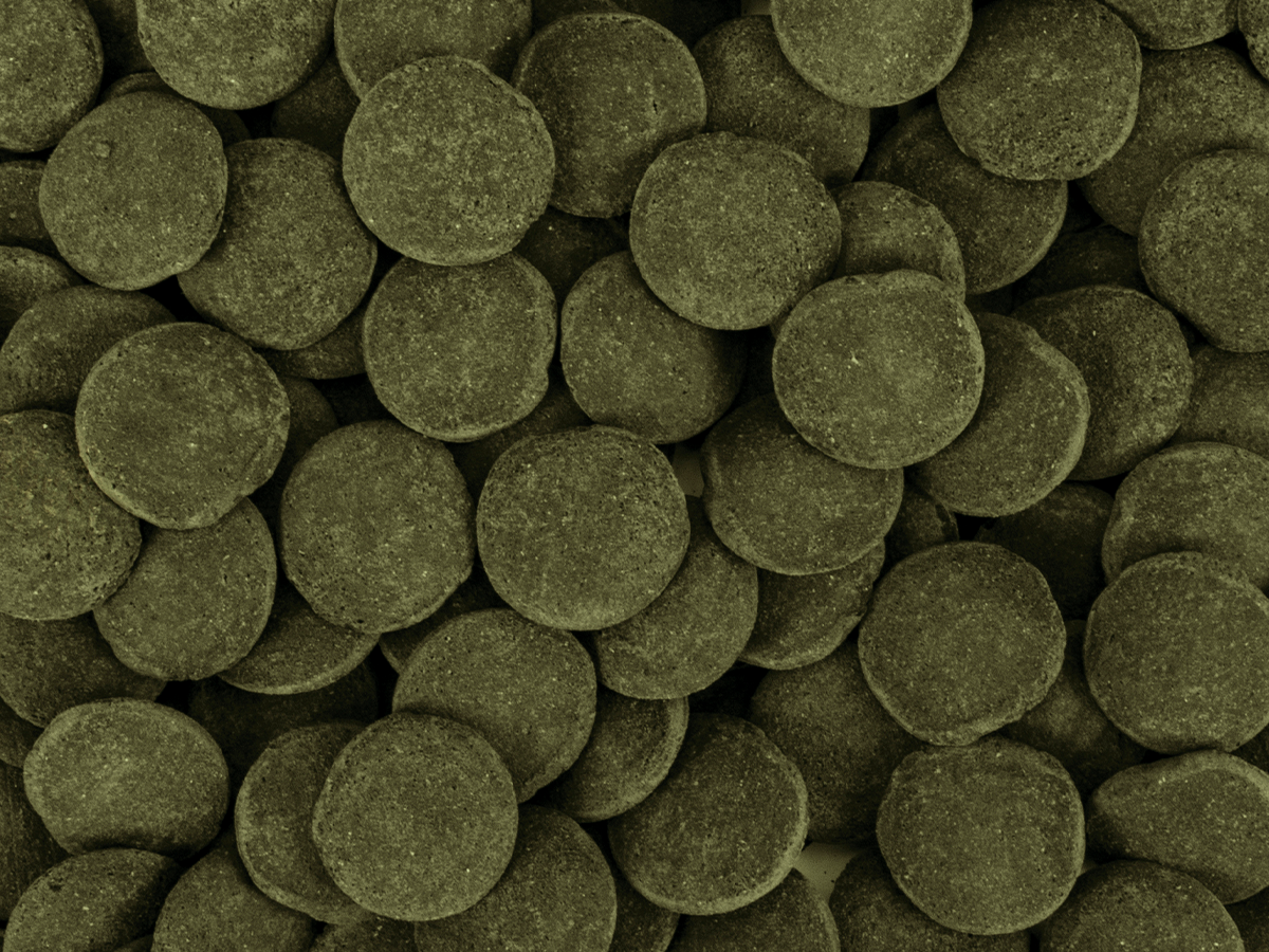 Hi-Algae Discs XXL