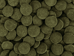 Hi-Algae Discs XXL