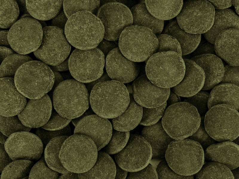 Hi-Algae Discs XXL