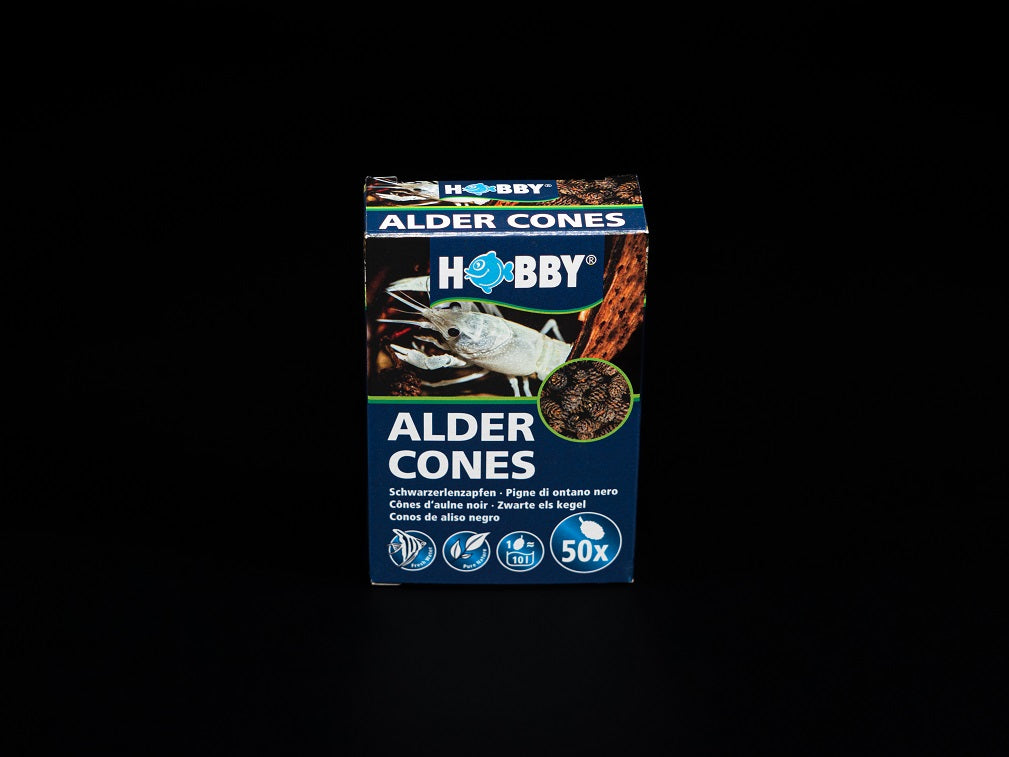 Alder Cones 50 Stück