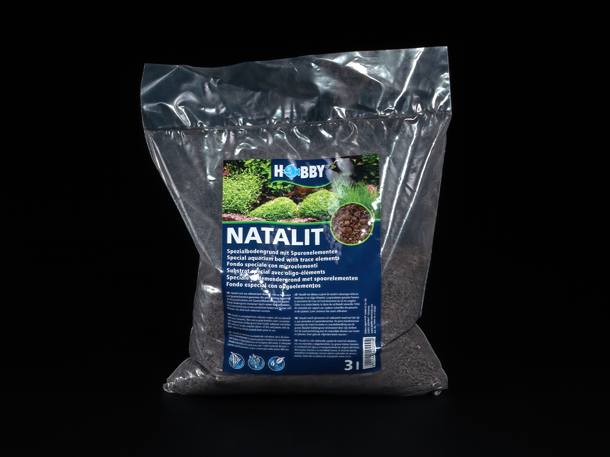 Hobby Natalit