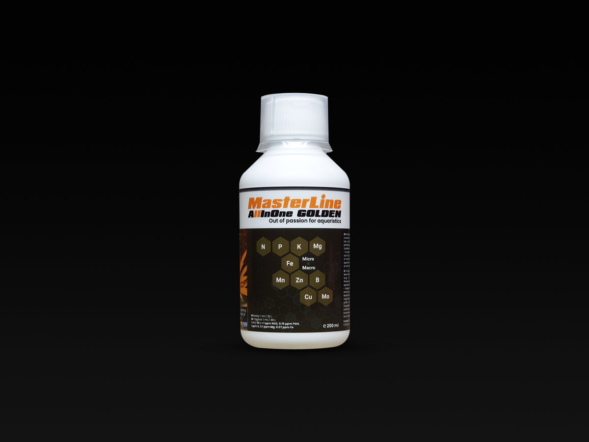 MasterLine AII In One Golden