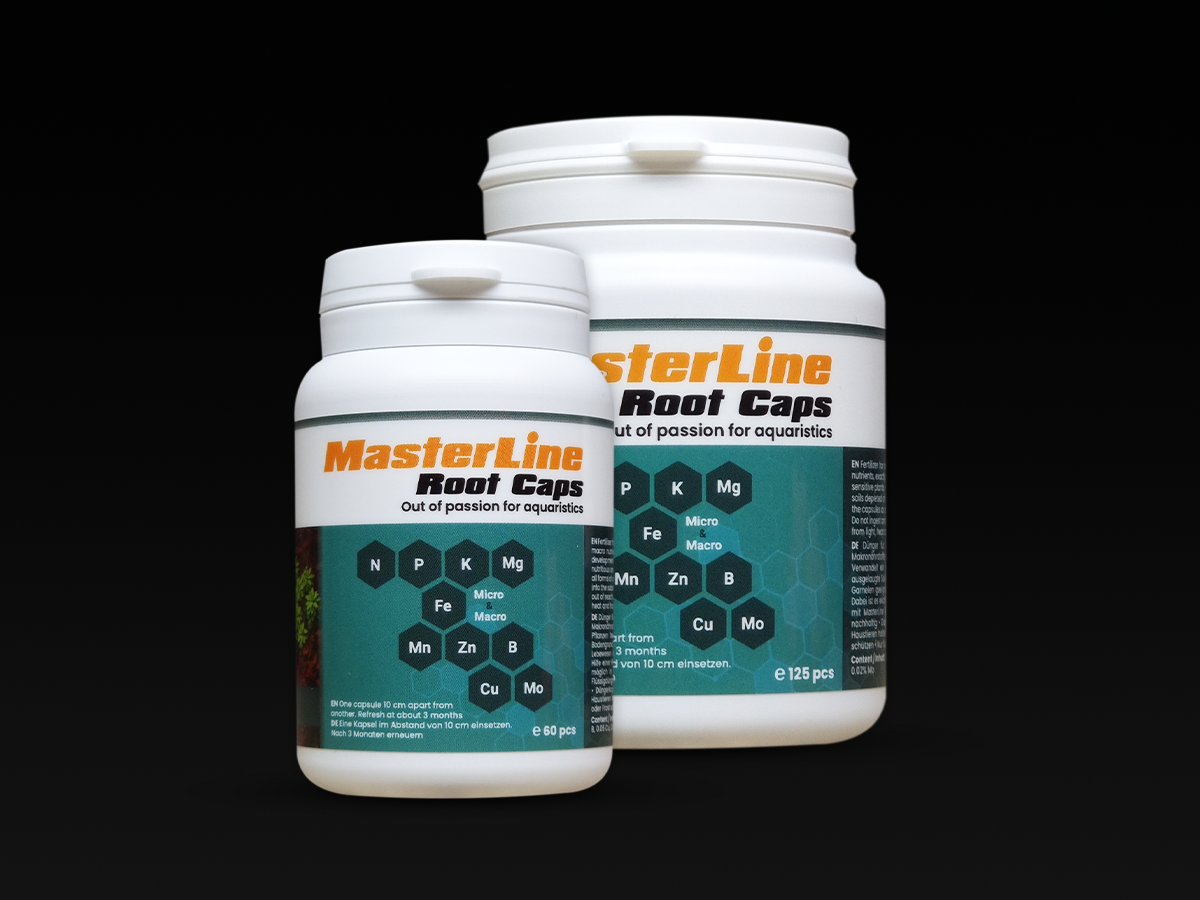 MasterLine Root Caps