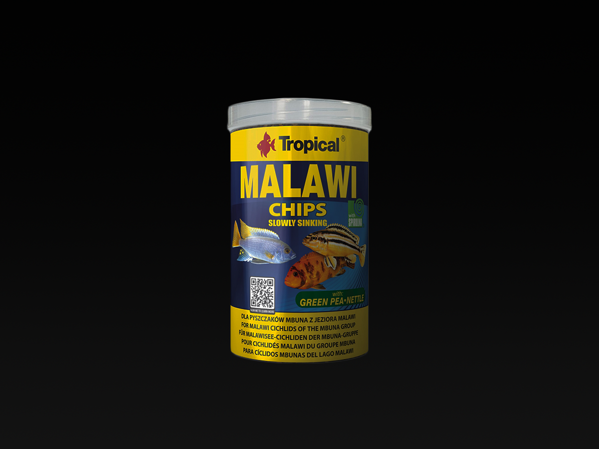 Malawi Chips