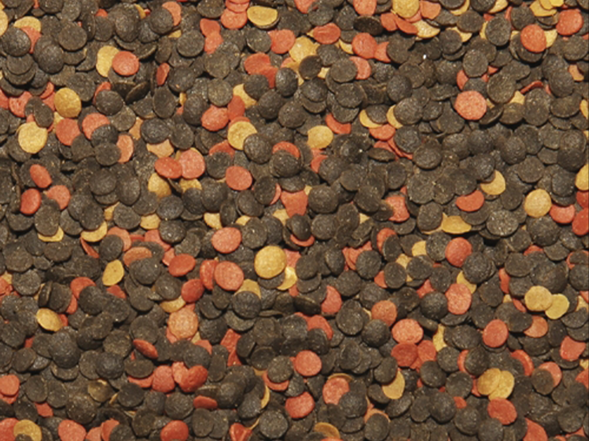 Malawi Chips